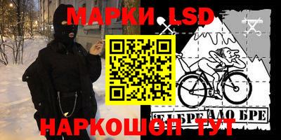 индика Заволжье