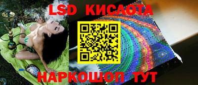 гидропоника Заводоуковск