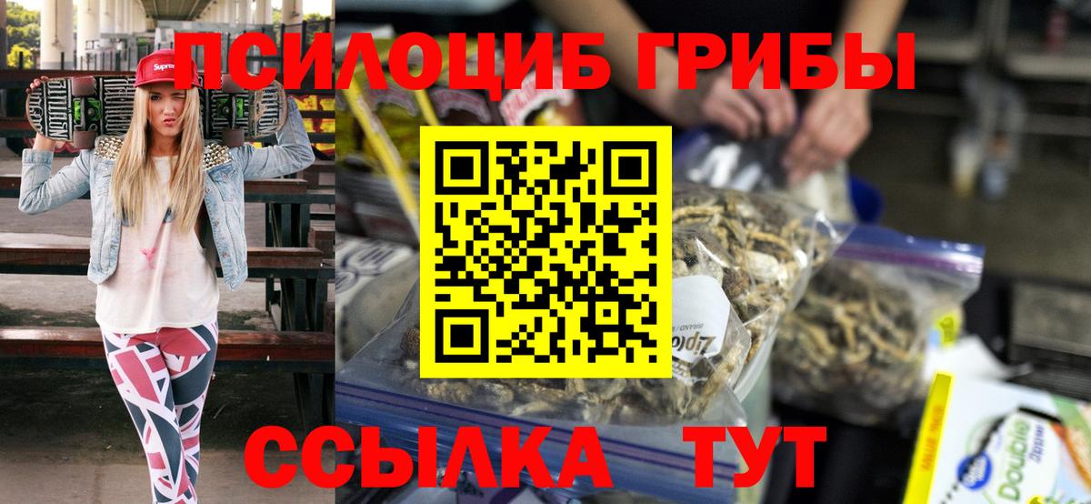 Псилоцибиновые грибы прущие грибы Кудрово